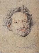 Peter Paul Rubens Dige oil painting reproduction